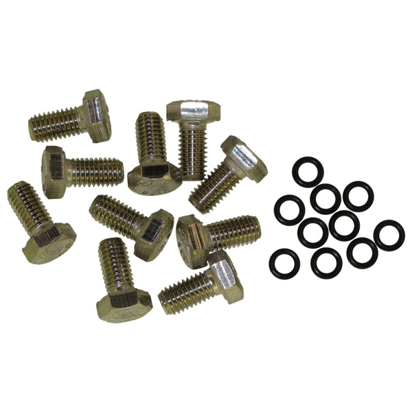 Lot de 10 vis 8 x 16 mm INOX avec joint, pour plaquette, anneaux et Uli, RAUMER
